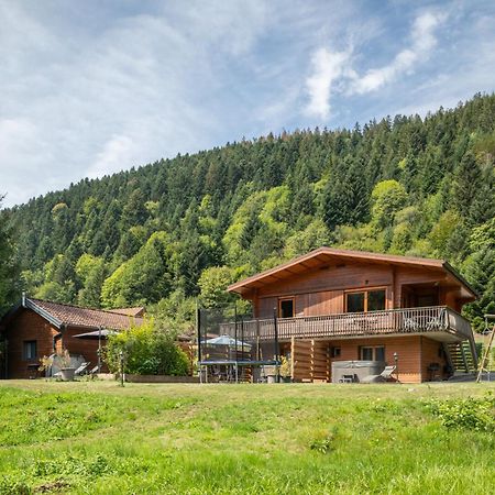Chalets Du Bouchot & Jacuzzi Privatif Proximite Gerardmer & La Bresse Rochesson Eksteriør billede